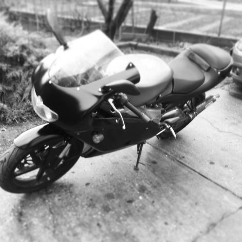 Junior