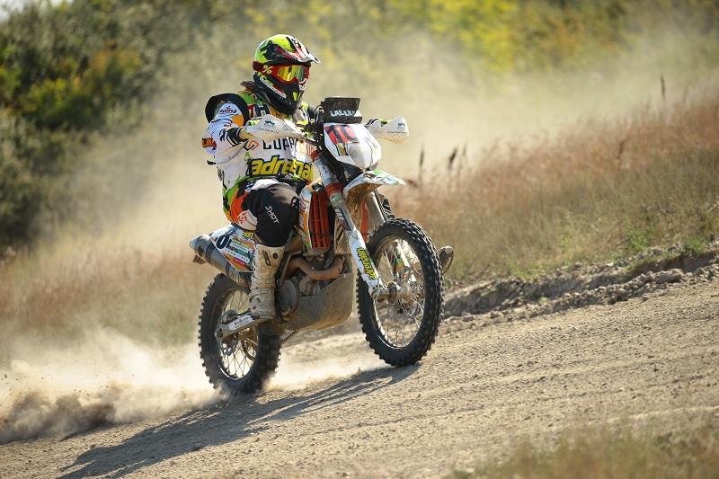 Laller már Gyulára gyúr