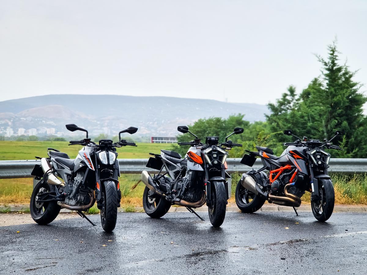 Kis hercegtől a legnagyobb hercegig